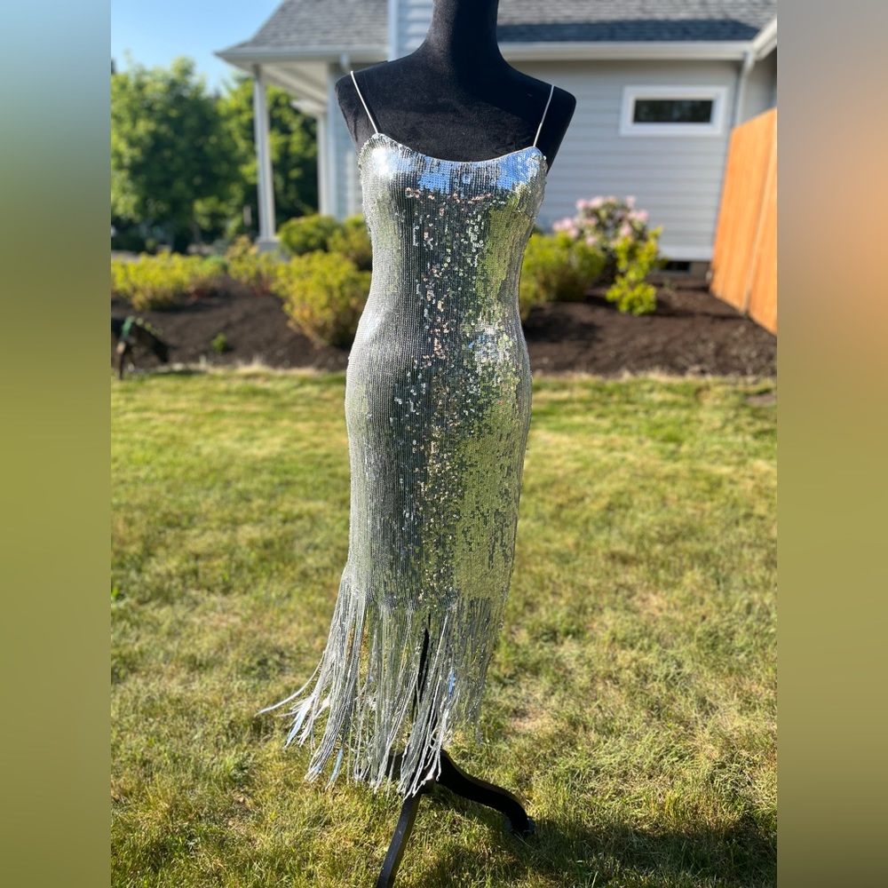 Sequin fringe silver dress